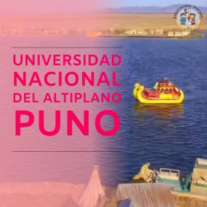 UNIVERSIDAD NACIONAL DEL ALTIPLANO PUNO